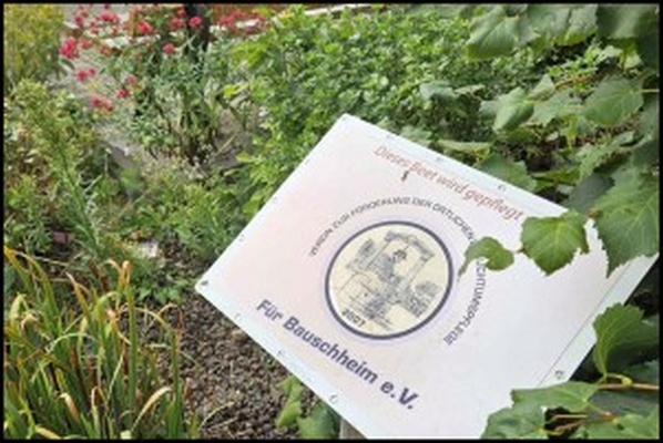 Beetgeflüster in der Brunnenstraße